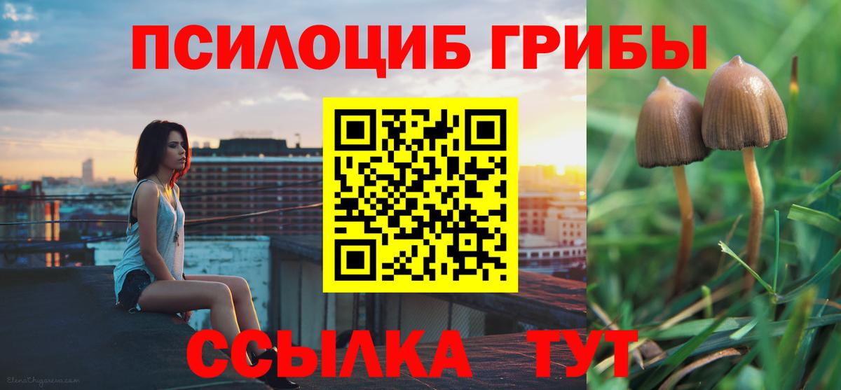 Псилоцибиновые грибы MAGIC MUSHROOMS  Вход с VPN  Туапсе  Псилоцибиновые грибы мицелий 